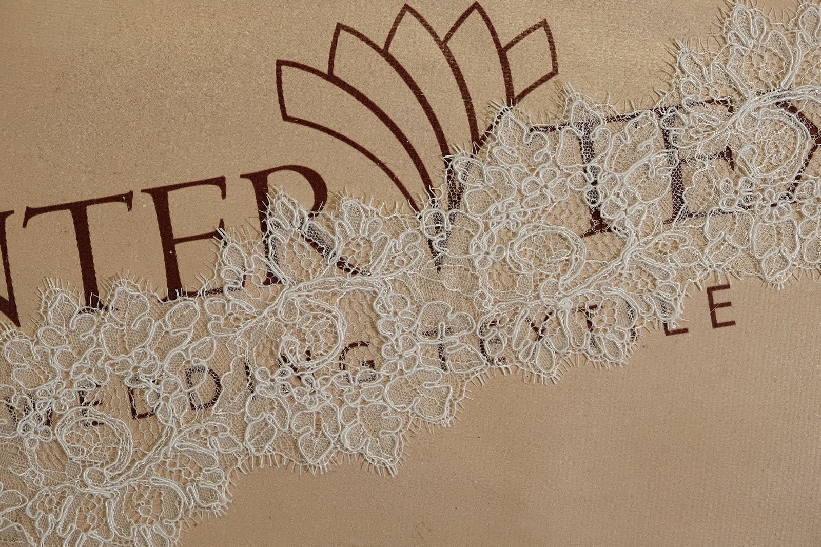 chantilly lace with cord pattern 026015