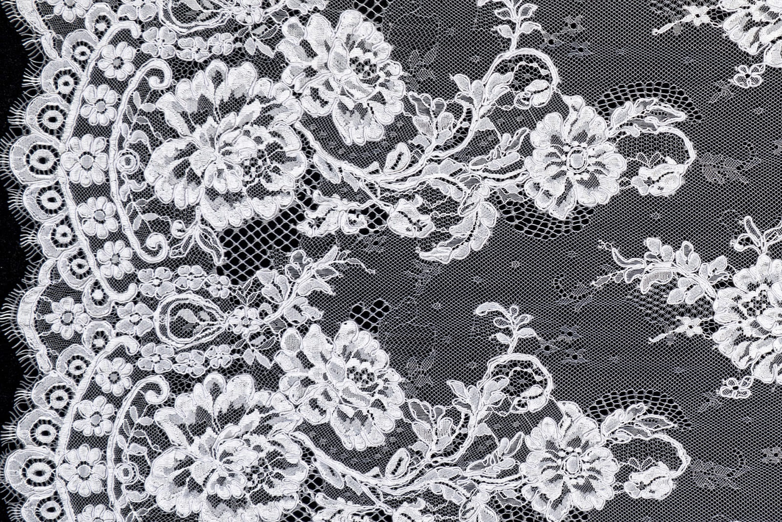 chantilly with cord from afar 033747