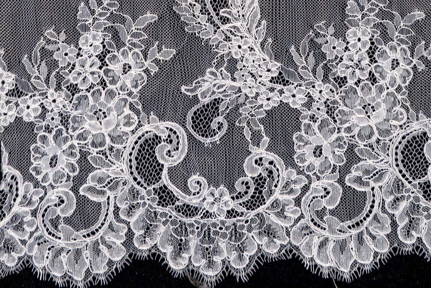 chantilly with cord surface view 033884