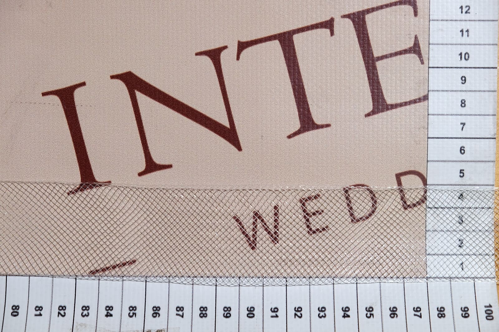 stiff transparent horsehair braid size 4 cm 327389