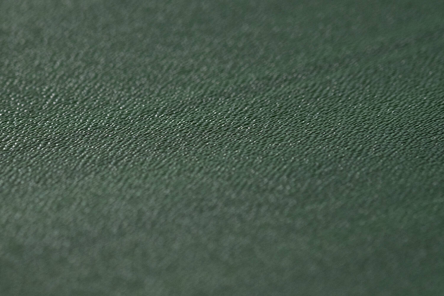 organza Wax Korolin close-up 380292