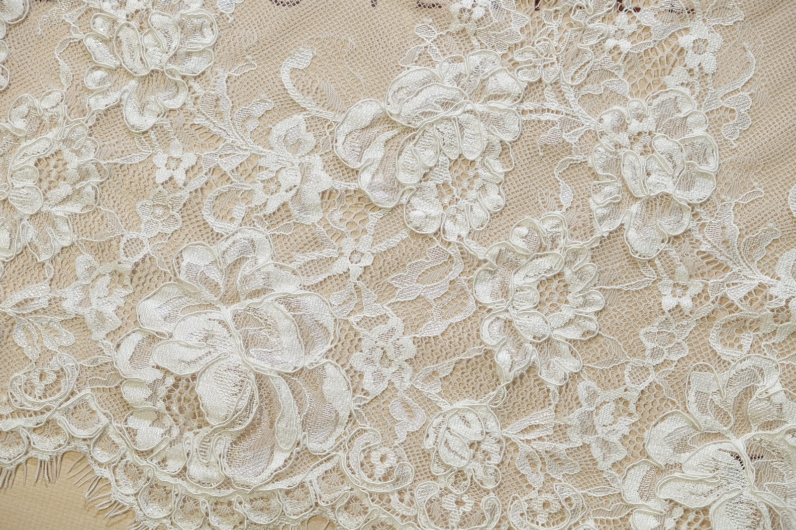 chantilly with cord edge 384016