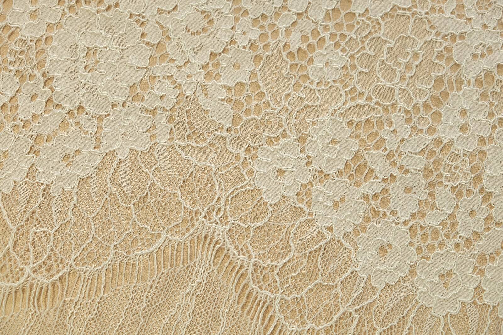 chantilly with cord edge 384597