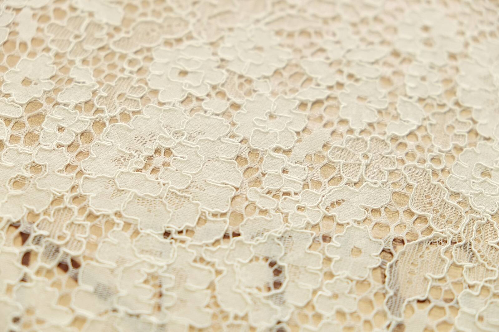 chantilly with cord pattern 384597