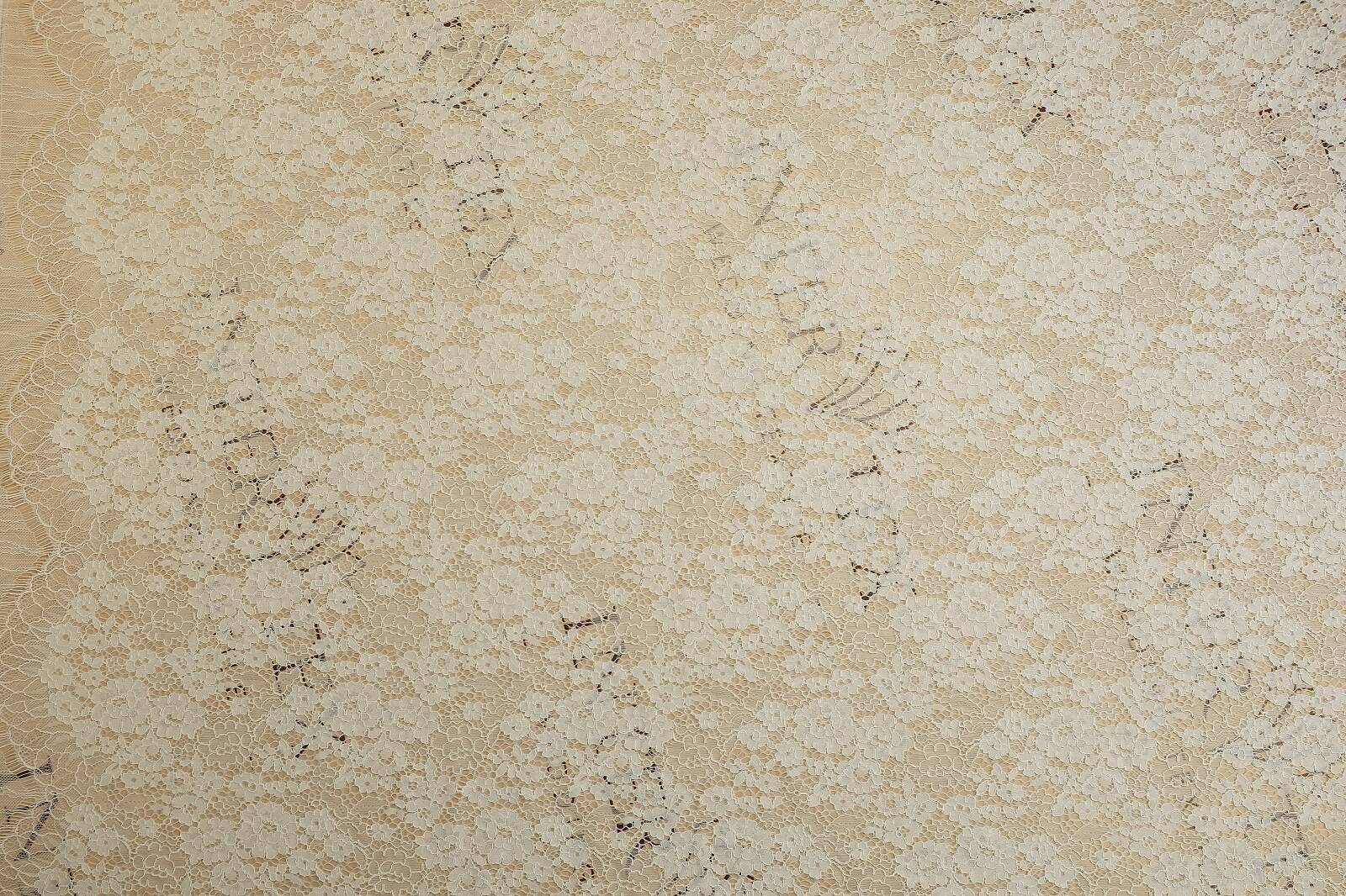 chantilly with cord full width 384597