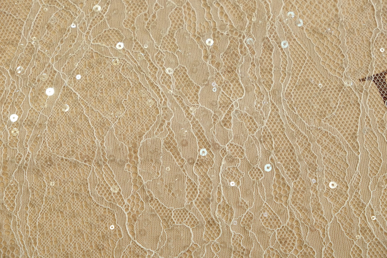 chantilly with sequins close-up 385112