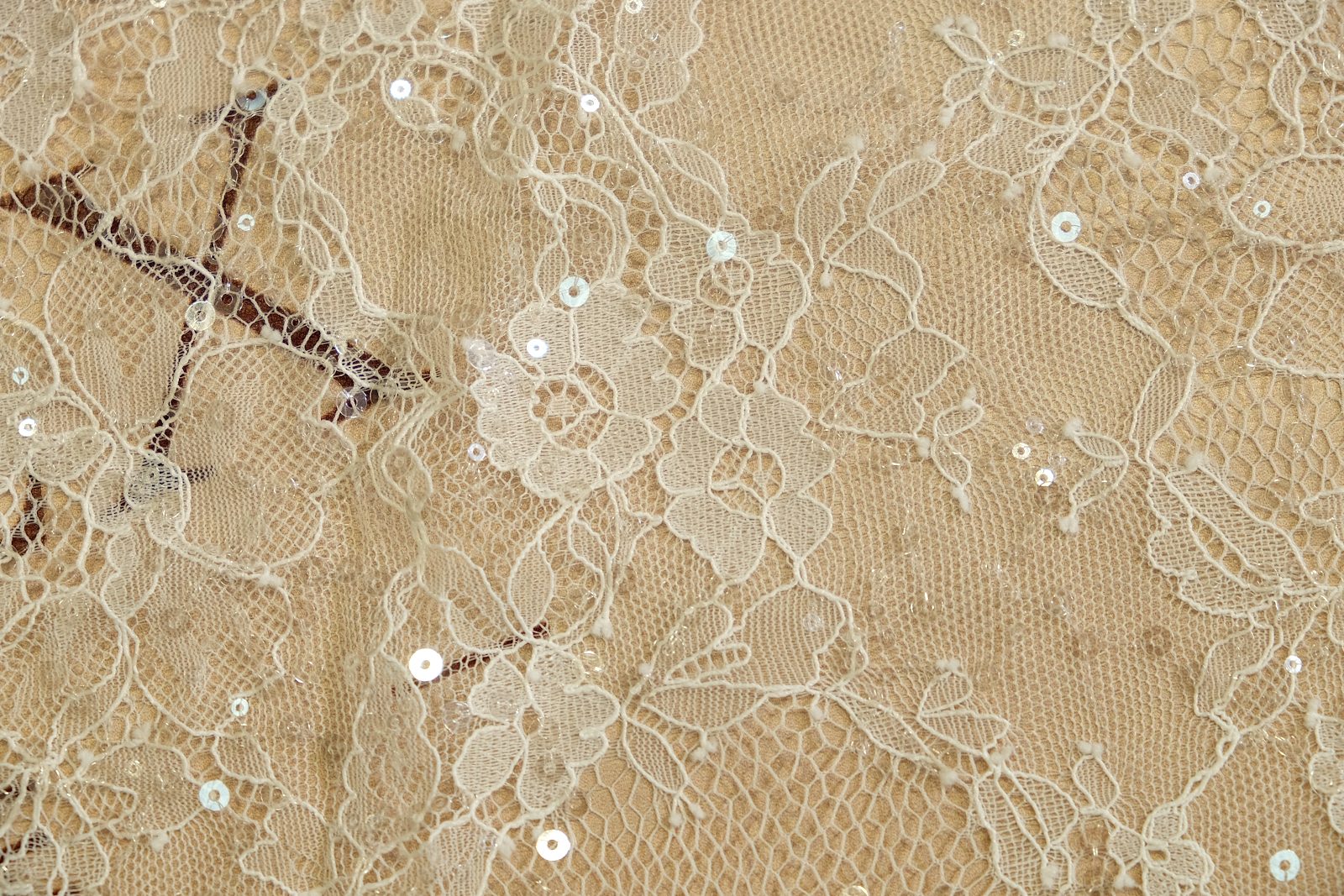 chantilly with sequins close-up 385129