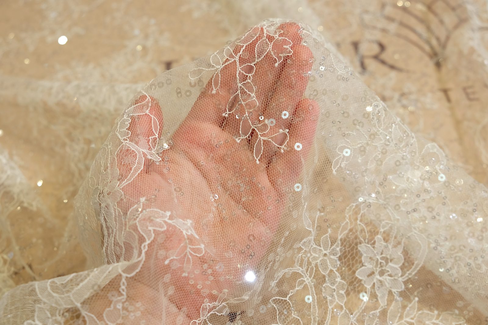 chantilly with sequins on hand 385143