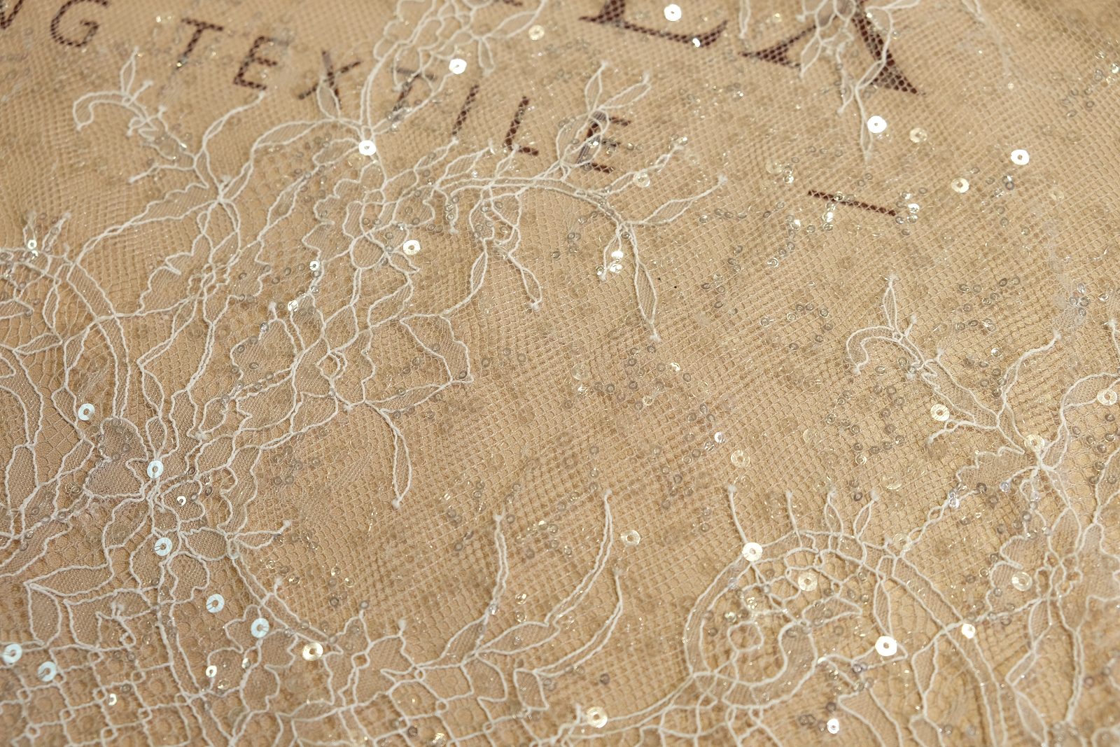 chantilly with sequins close-up 385167