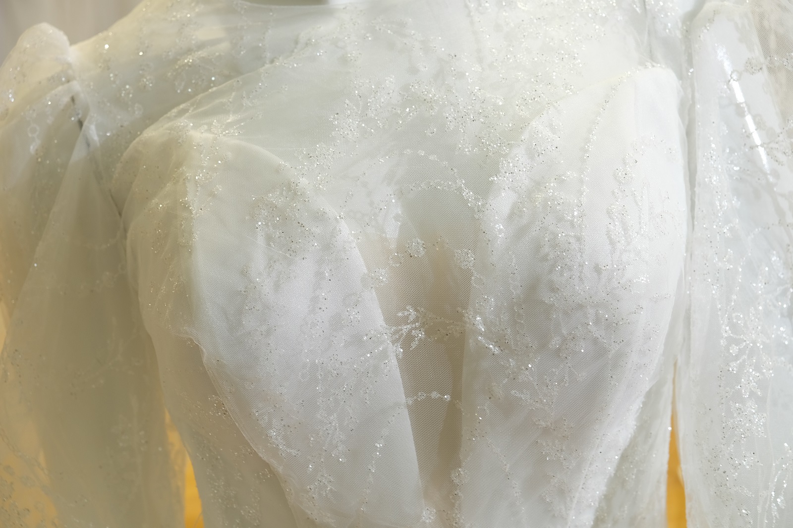 corset close-up front view 385501