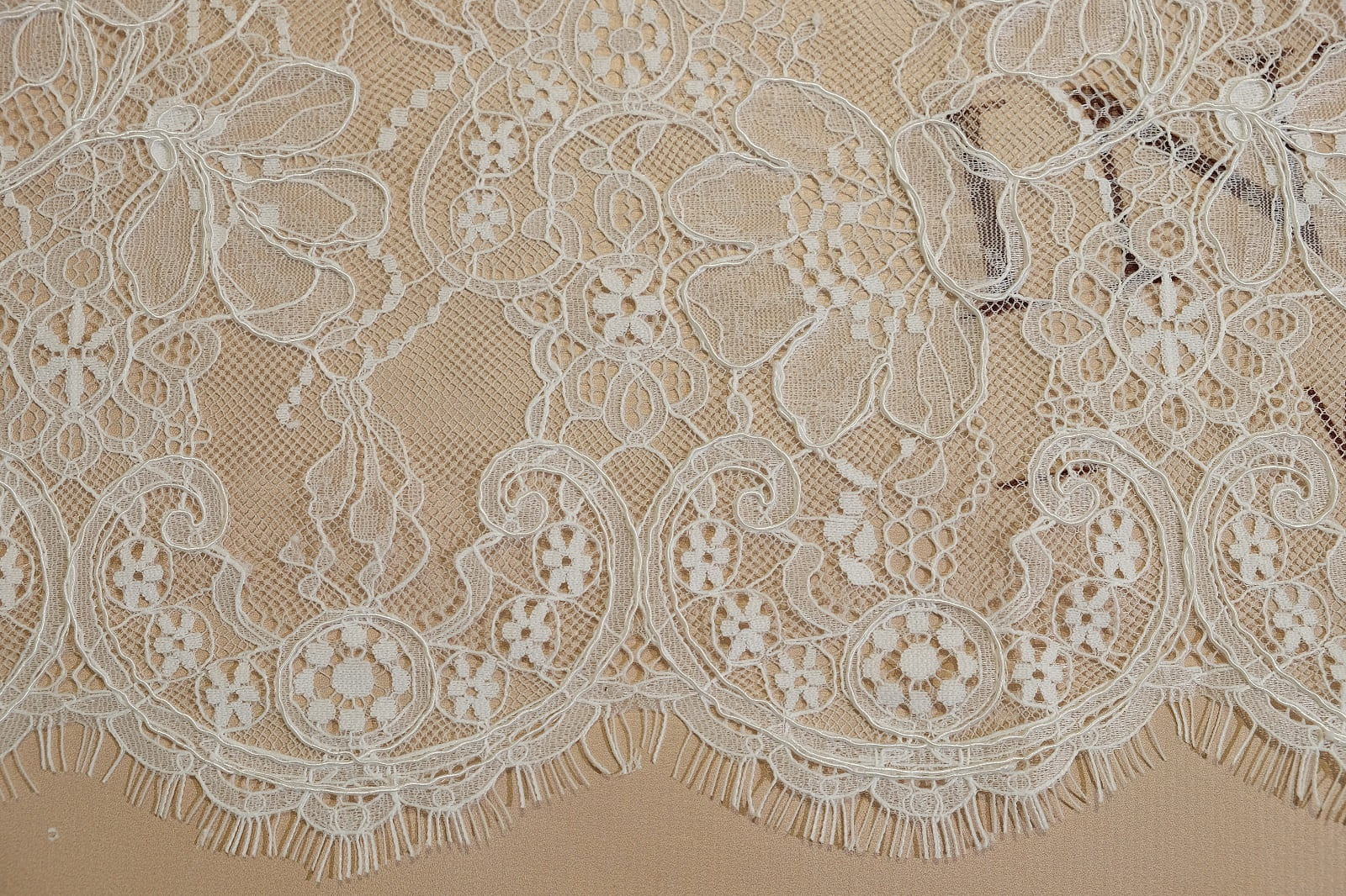 chantilly with cord edge 386270