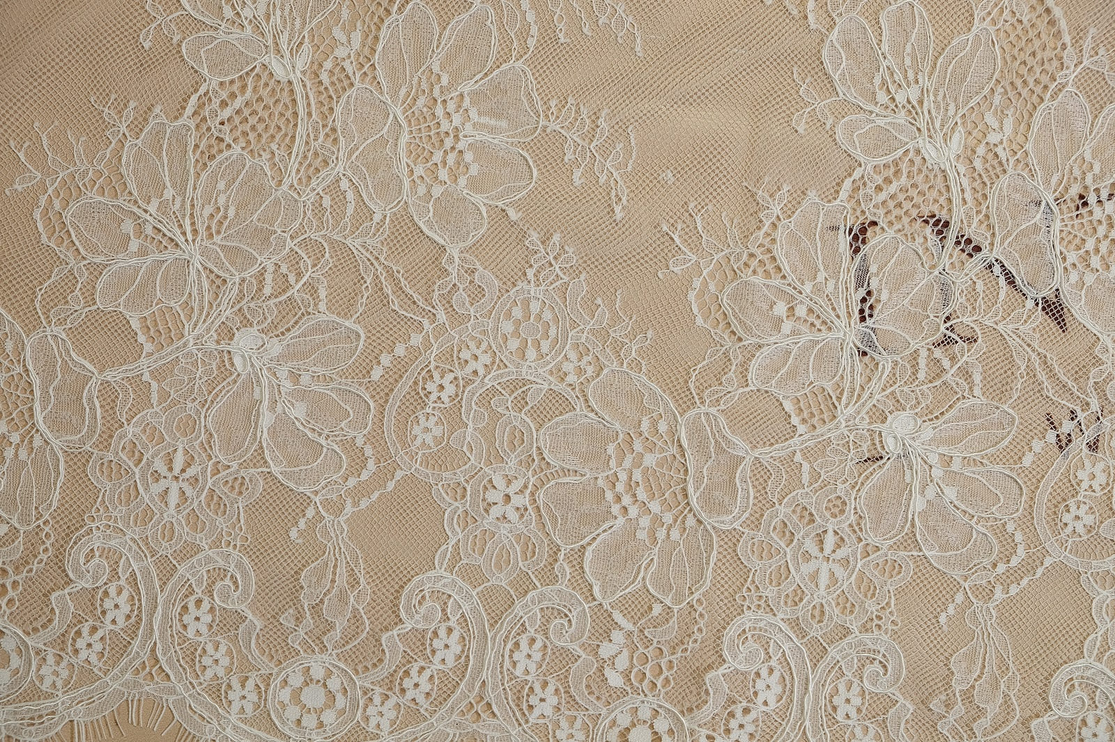 chantilly with cord pattern 386270