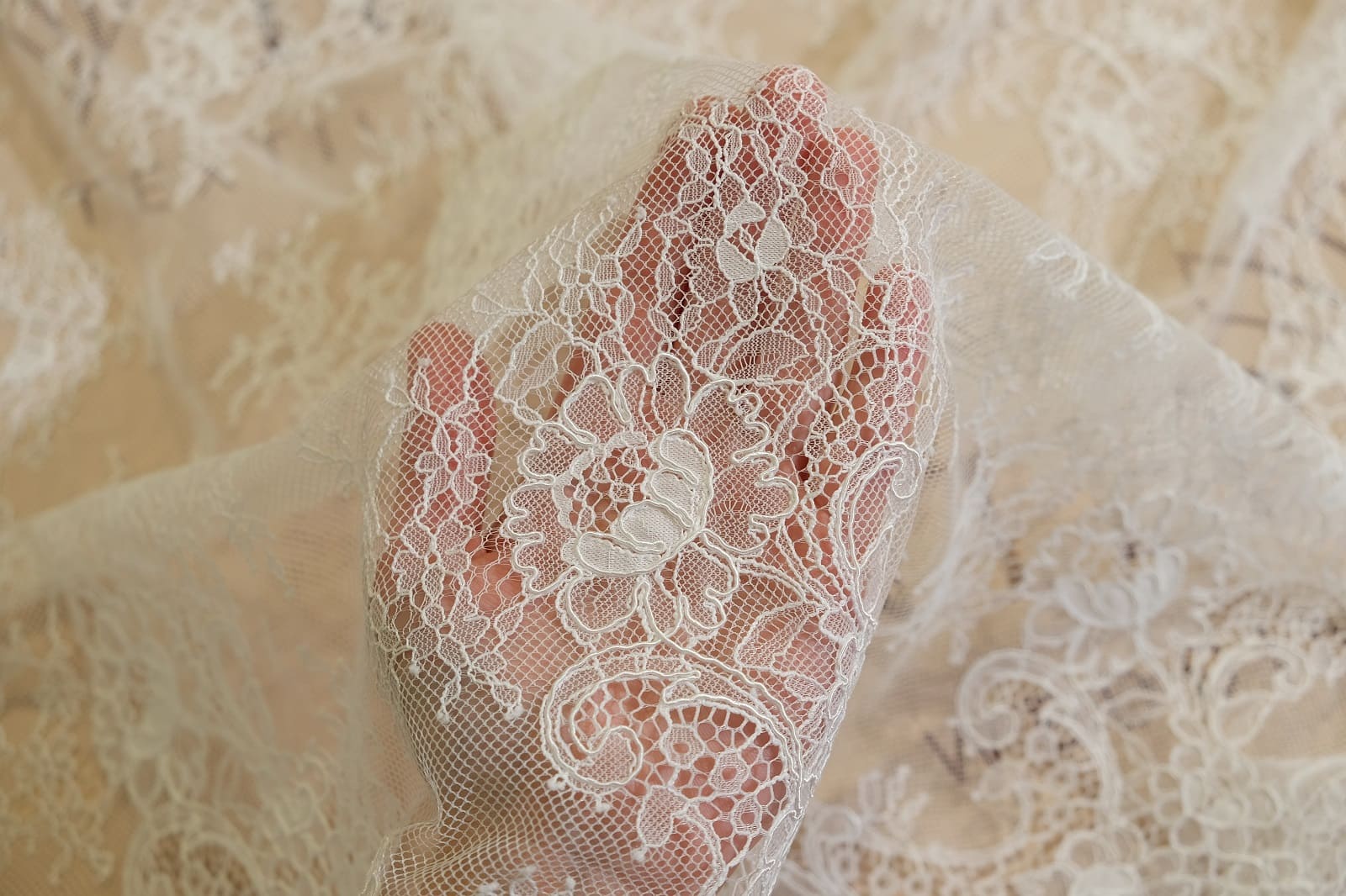 chantilly with cord on hand 386355